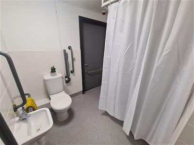 Picture 5